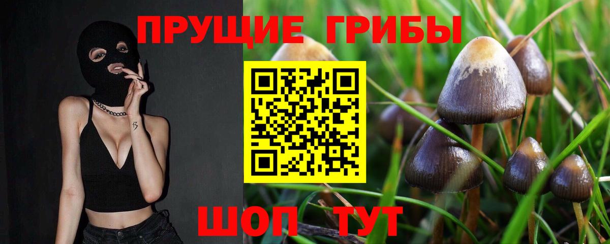 Псилоцибиновые грибы мицелий  Вход с VPN  Воскресенск 